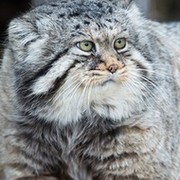 Вера Шаповалова on My World.