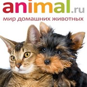 Animal.ru - Всё самое интересное и полезное о домашних питомцах! группа в Моем Мире.