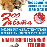 ЗооЗабота - помощь бездомным животным Хакасии группа в Моем Мире.