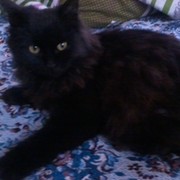melani v on My World.