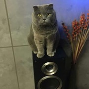 Сергей Мошкович on My World.