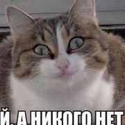 Андрей Кудряшов on My World.