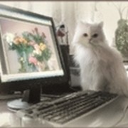 Андрей дениссов on My World.