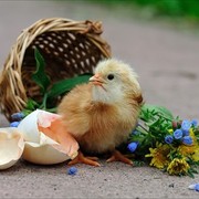 Наталия Николаевна on My World.
