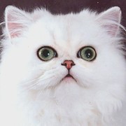 АРВИДАС РОМАНОВ on My World.