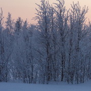 Юра агент-007 on My World.