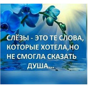 Алексей  Новосельцев  on My World.