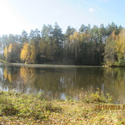 Николай Данилов on My World.