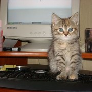 Misha Boo on My World.