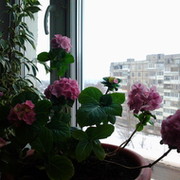 Татьяна З on My World.