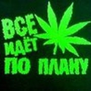 Иван Семеняк on My World.
