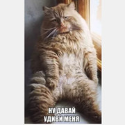 Весёлый- тип on My World.