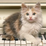 Дима Мелех on My World.