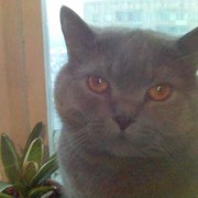 Сергей Кирилев on My World.
