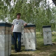 foxbee@mail.ru on My World.
