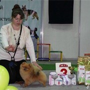 Татьяна Довжикова on My World.