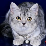 Ирина Патрушева on My World.