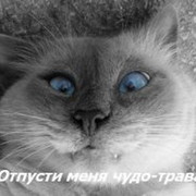 Евгений Павлов on My World.