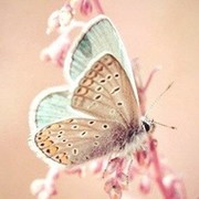 Оксана Жердева on My World.