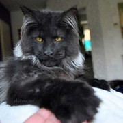 Лариса Лопатина on My World.