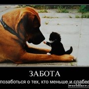 Людмила Горланова on My World.