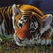 Станислав Мардасов on My World.