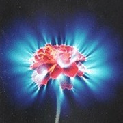 Нургуль Абилхаирова on My World.