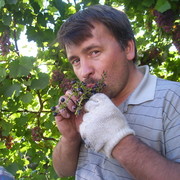 Андрей Волков on My World.