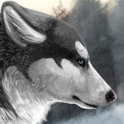 Владимир Воеводин on My World.