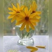 Гульнара Рамазанова on My World.