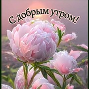 Надежда Анисимова on My World.