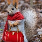 Аццкая Белка * on My World.