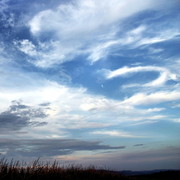 ВАСЕК Плотник on My World.