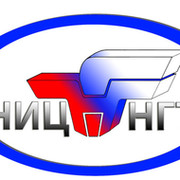 Ниц нгт. НИЦ НГТ логотип. Исследовательский центр НГТУ. НИЦ НГТ Мегион. НИЦ НГТ Мегион официальный сайт.