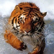 Александр Тихомиров on My World.