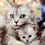 Татьяна + on My World.