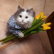 Анатолий Калачёв on My World.
