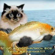 Владимир Воронцов on My World.