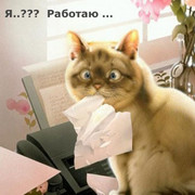 Дэйн Com on My World.